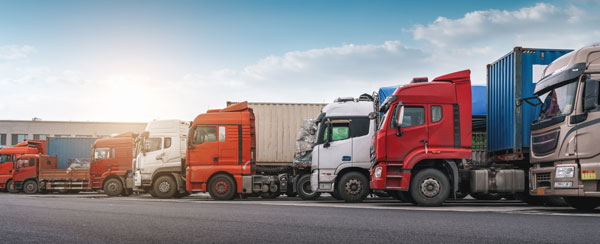 Cold Storage & warehousing